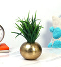 Contemporary Indoor Flower Pot