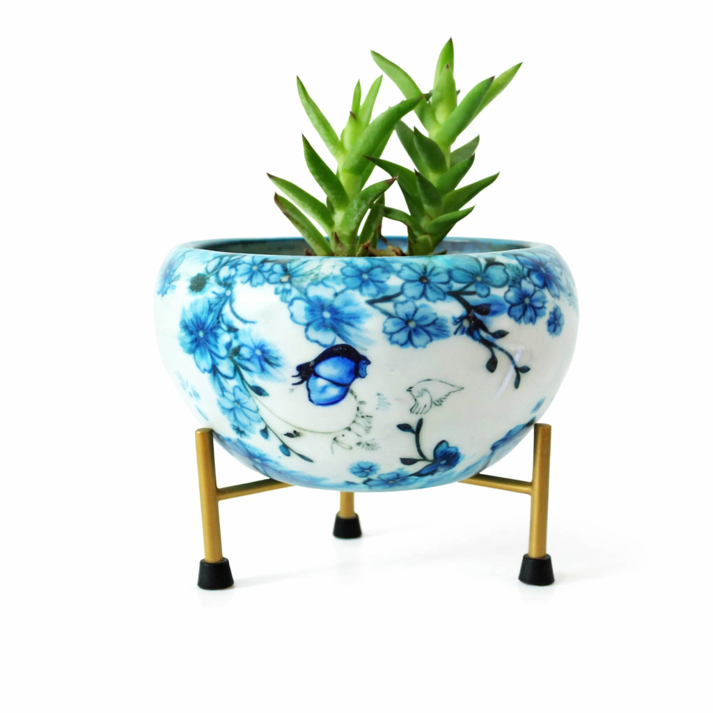 Decorative Plant Pot for Home Décor